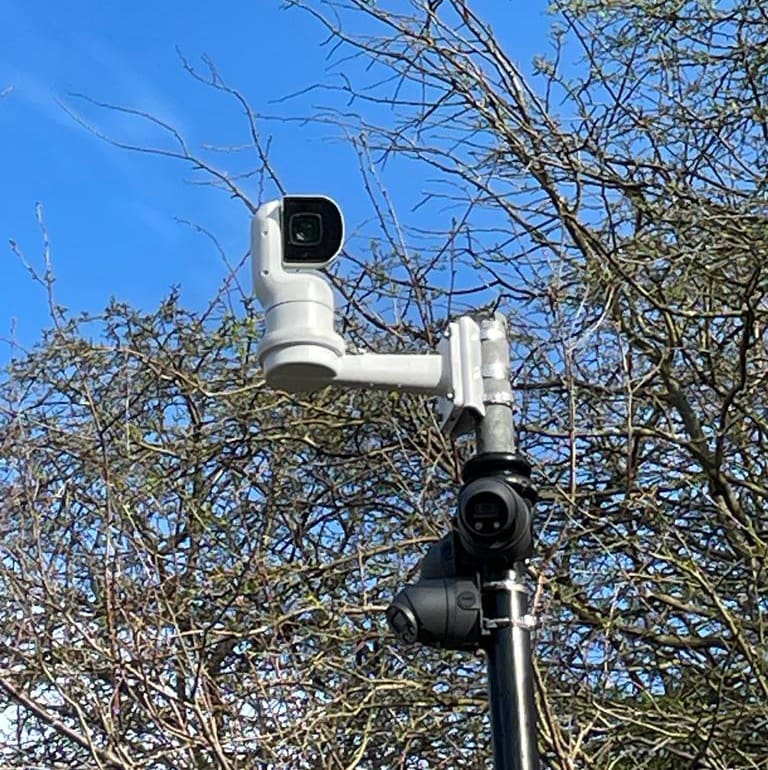 A CCTV camera and illuminator mounted on a pole beside a tree